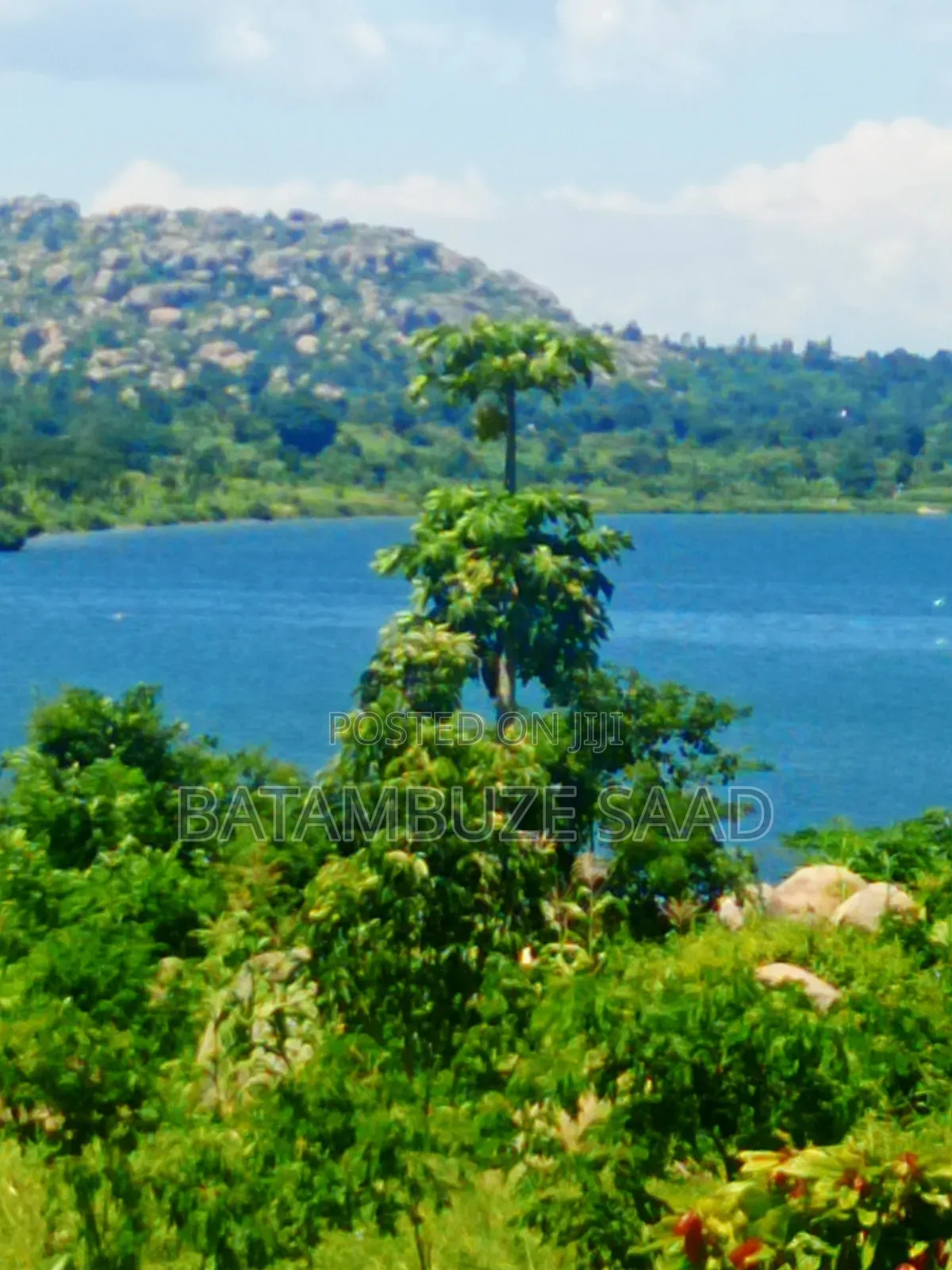15 Acres of Farm Land on Lake Victoria Shores