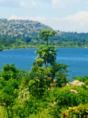15 Acres of Farm Land on Lake Victoria Shores