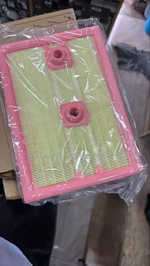 Air Cleaner