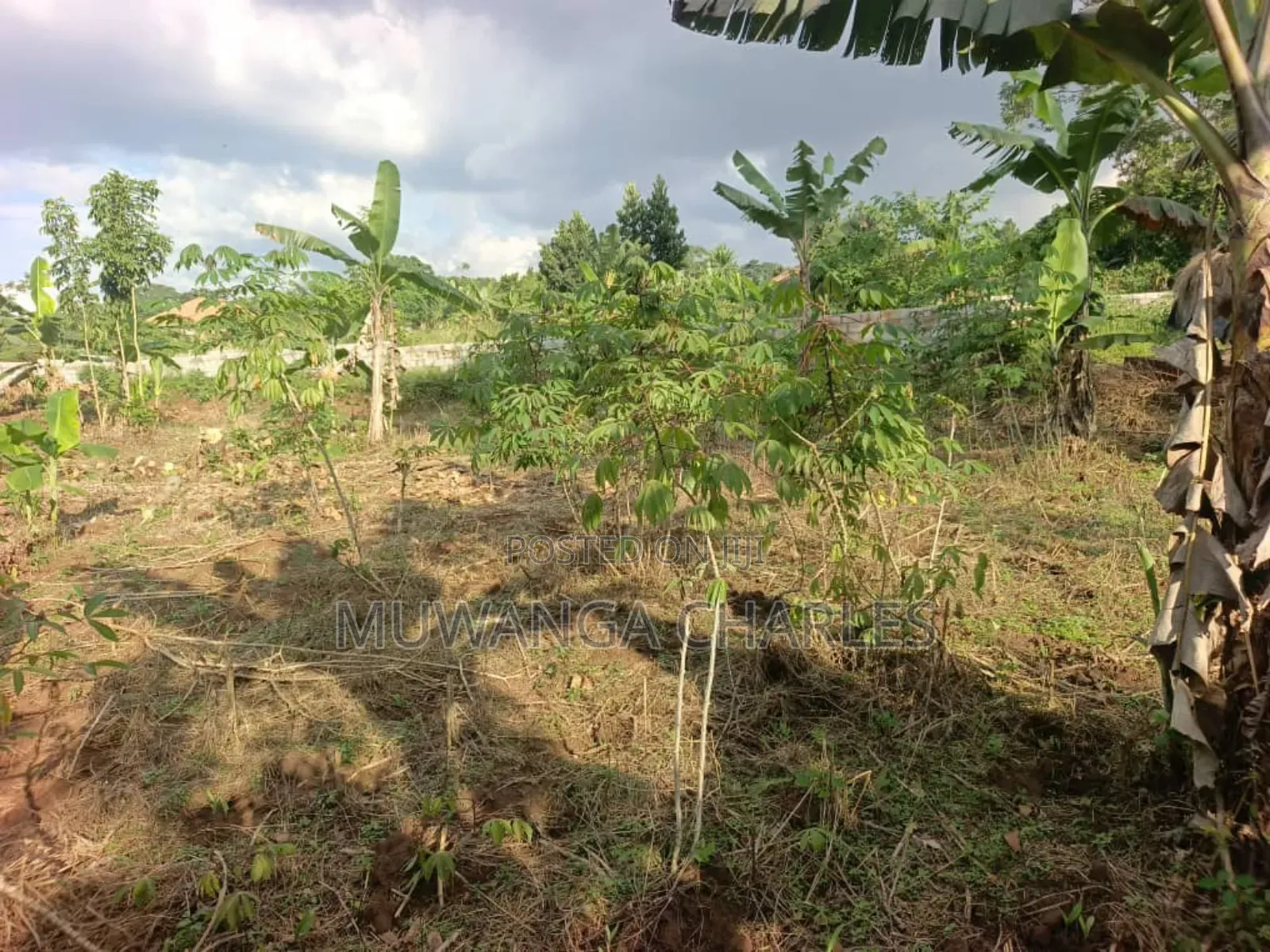 Plots on Sale in Kira Nsasa Phase 1