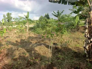 Plots on Sale in Kira Nsasa Phase 1