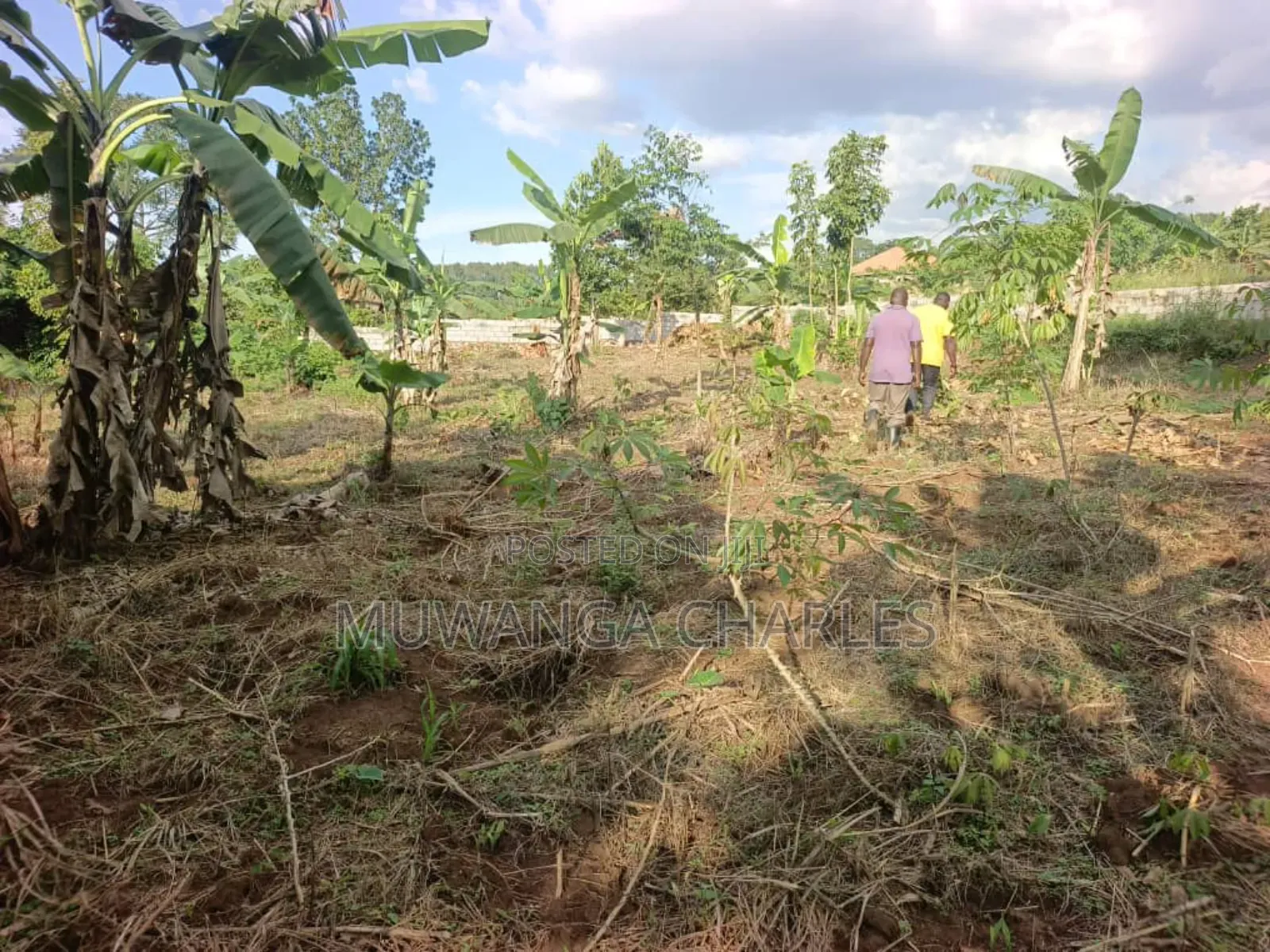 Plots on Sale in Kira Nsasa Phase 1