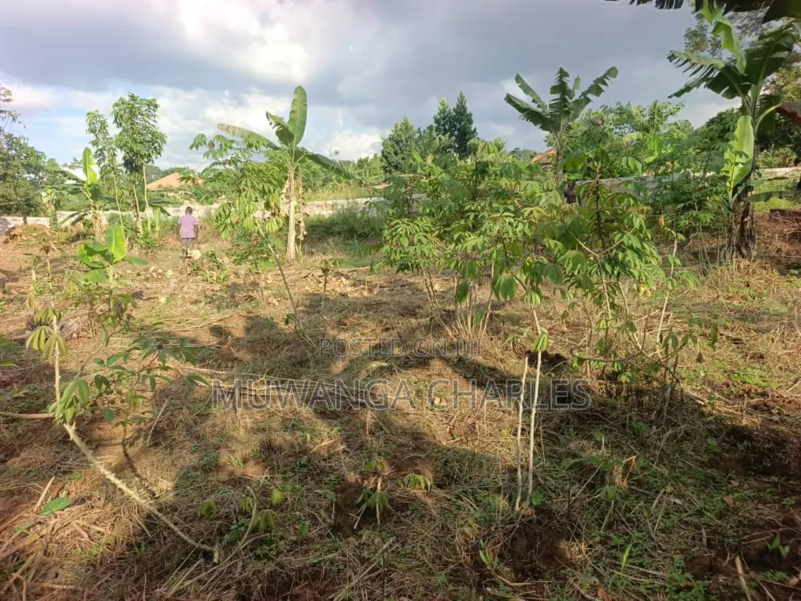 Plots on Sale in Kira Nsasa Phase 1