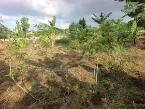 Plots on Sale in Kira Nsasa Phase 1