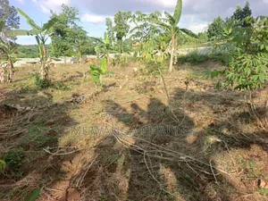 Plots on Sale in Kira Nsasa Phase 1