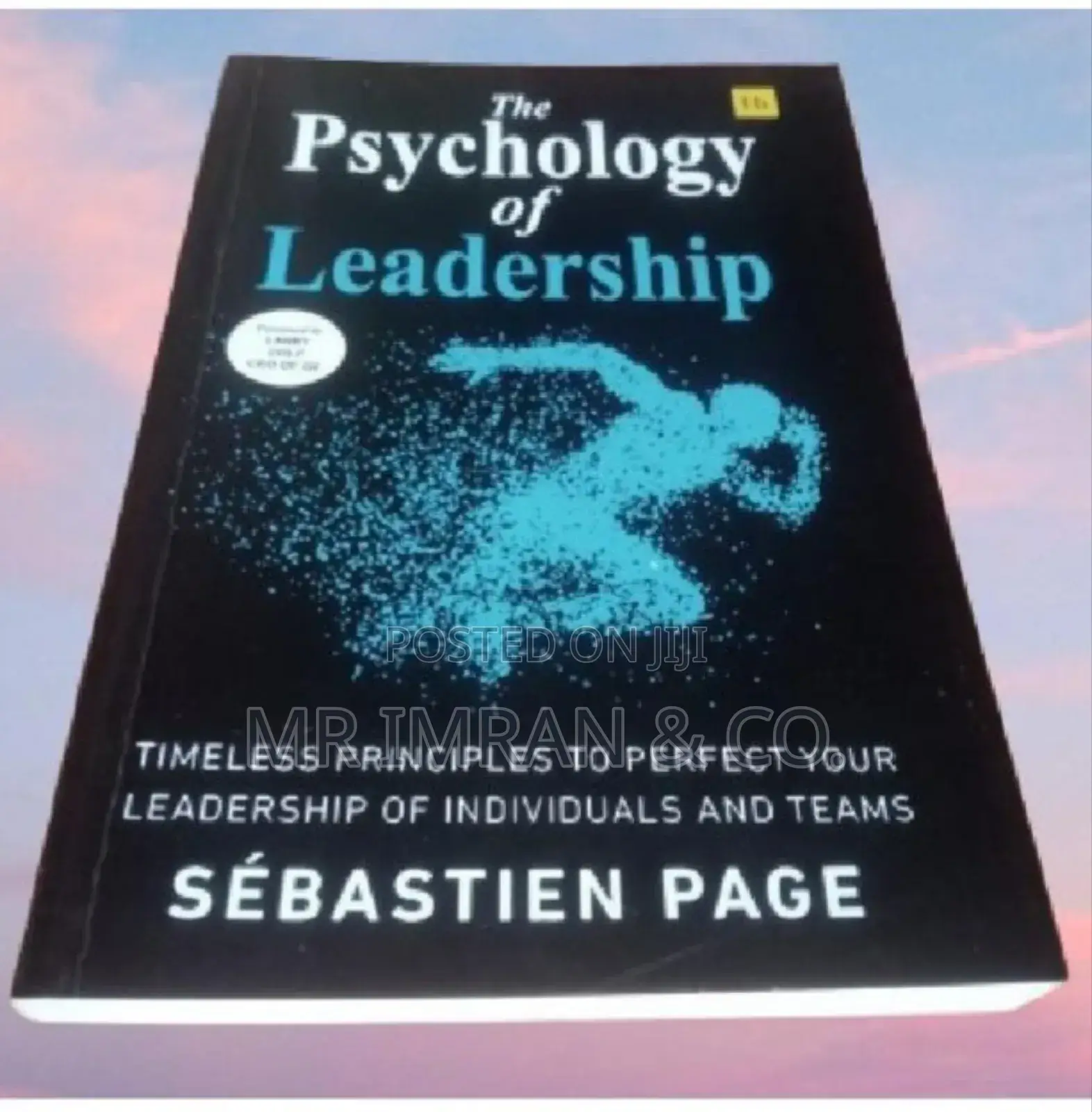 The Psychology of Leadership Book by Sébastien Page.