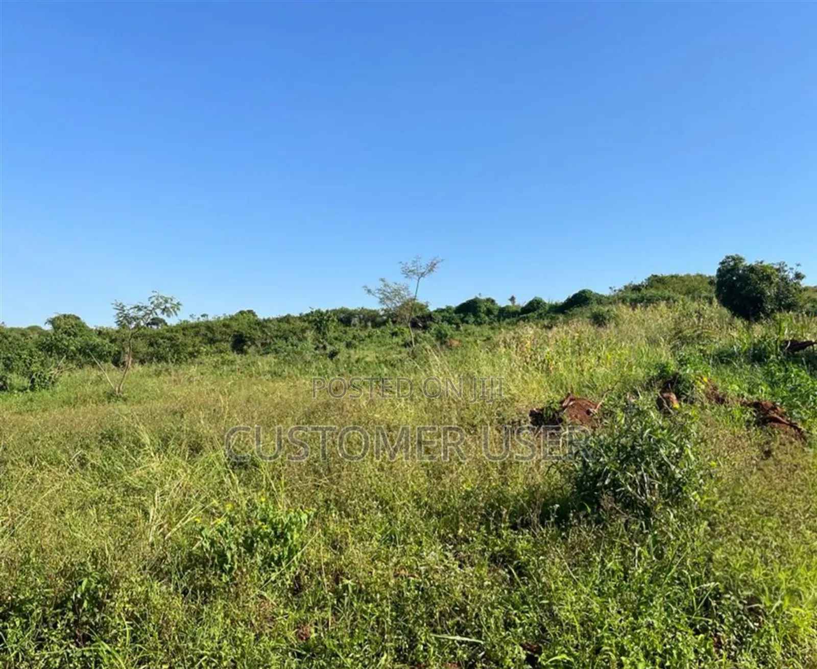 Land at Bujuuko /Namabale