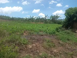 21⁄2 , 11⁄2 and 31⁄2acres at 34m Per Acre From 38m at Acre, in Rubaya Mb.