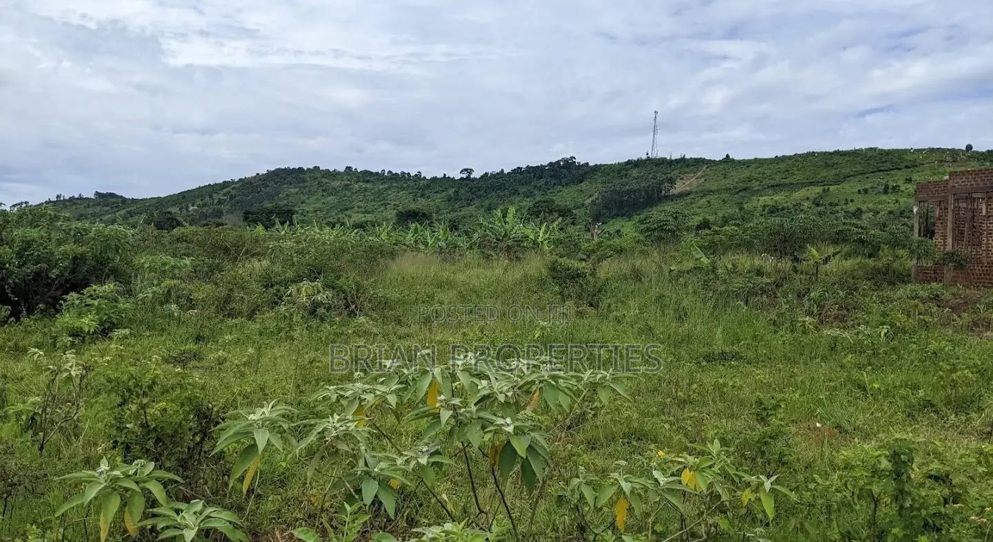 Titled Land ~ 84.3 Decimals in Kakiri.
