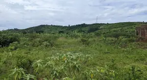 Titled Land ~ 84.3 Decimals in Kakiri.