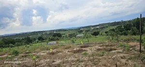 Unbelievable Sale of Plots at Wakiso Namayumba