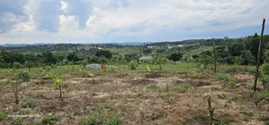 Unbelievable Sale of Plots at Wakiso Namayumba