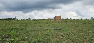 Unbelievable Sale of Plots at Wakiso Namayumba