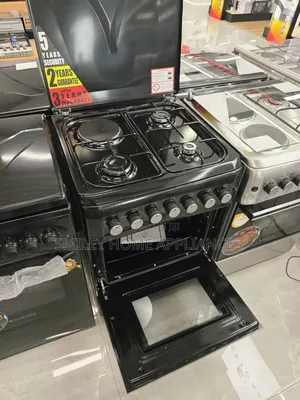 69cm*60cm Blueflame (3+1) Electric Cooker Oven Black Color at Discount