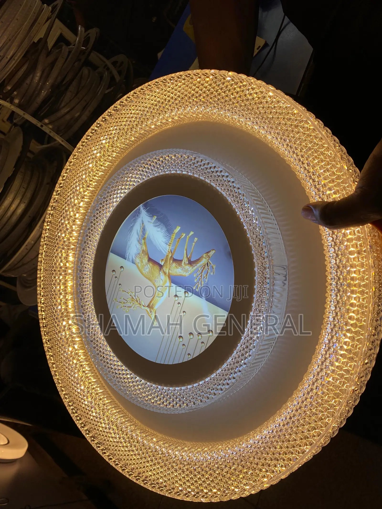 Ceiling Lights