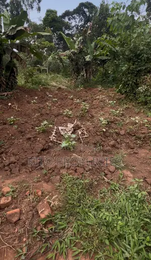 5x100feet Plot Of Land For Sale (Namugongo Bukerere Road)