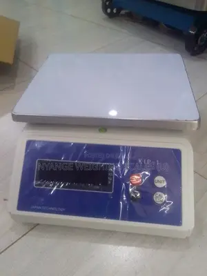 Laboratory Commercial Weighing Scale 30kg/1g Digital Weighing Scale