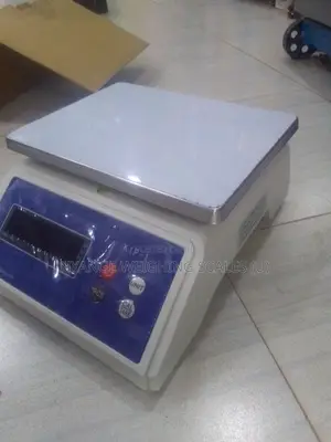 High-Precision Weighing Scale 30kg1g Digital Laboratory Weighing Scale