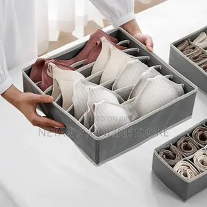 4in1 Undergarments Organizer