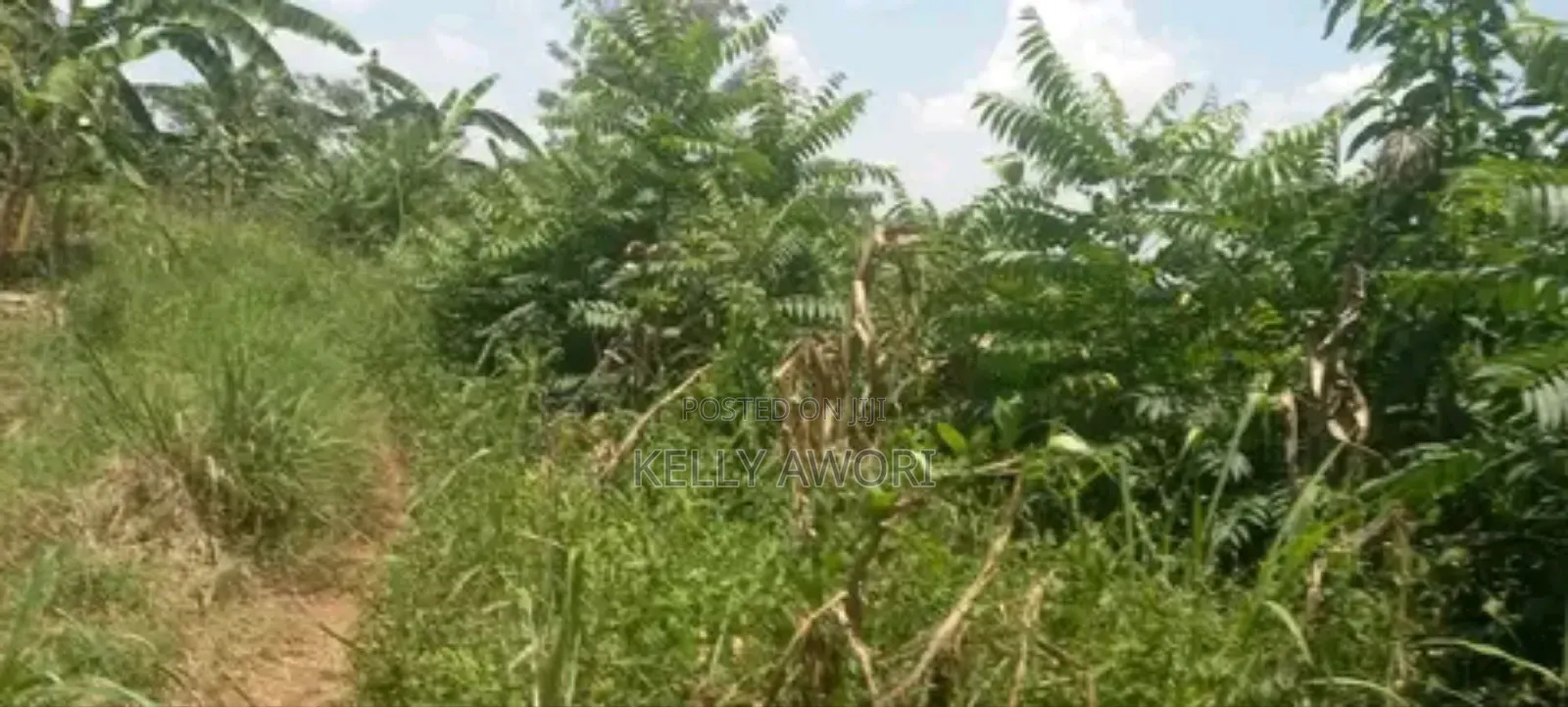 25by40 Plot for Sale
