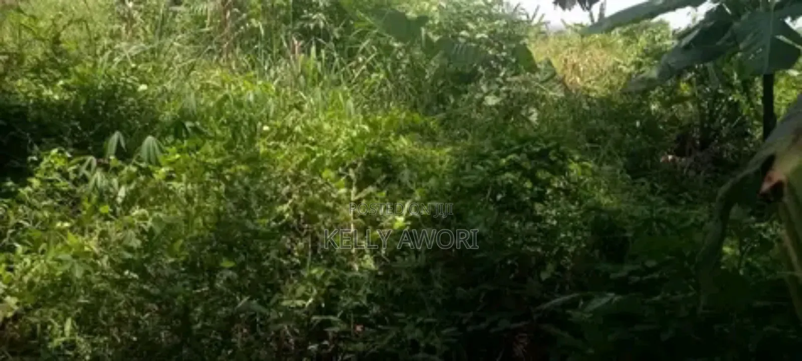 25by40 Plot for Sale