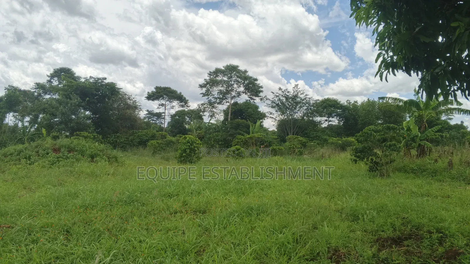 Kibanja Plot Available Kikandwa Mukono Kayunga Road
