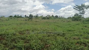 Kibanja Plot Available Kikandwa Mukono Kayunga Road