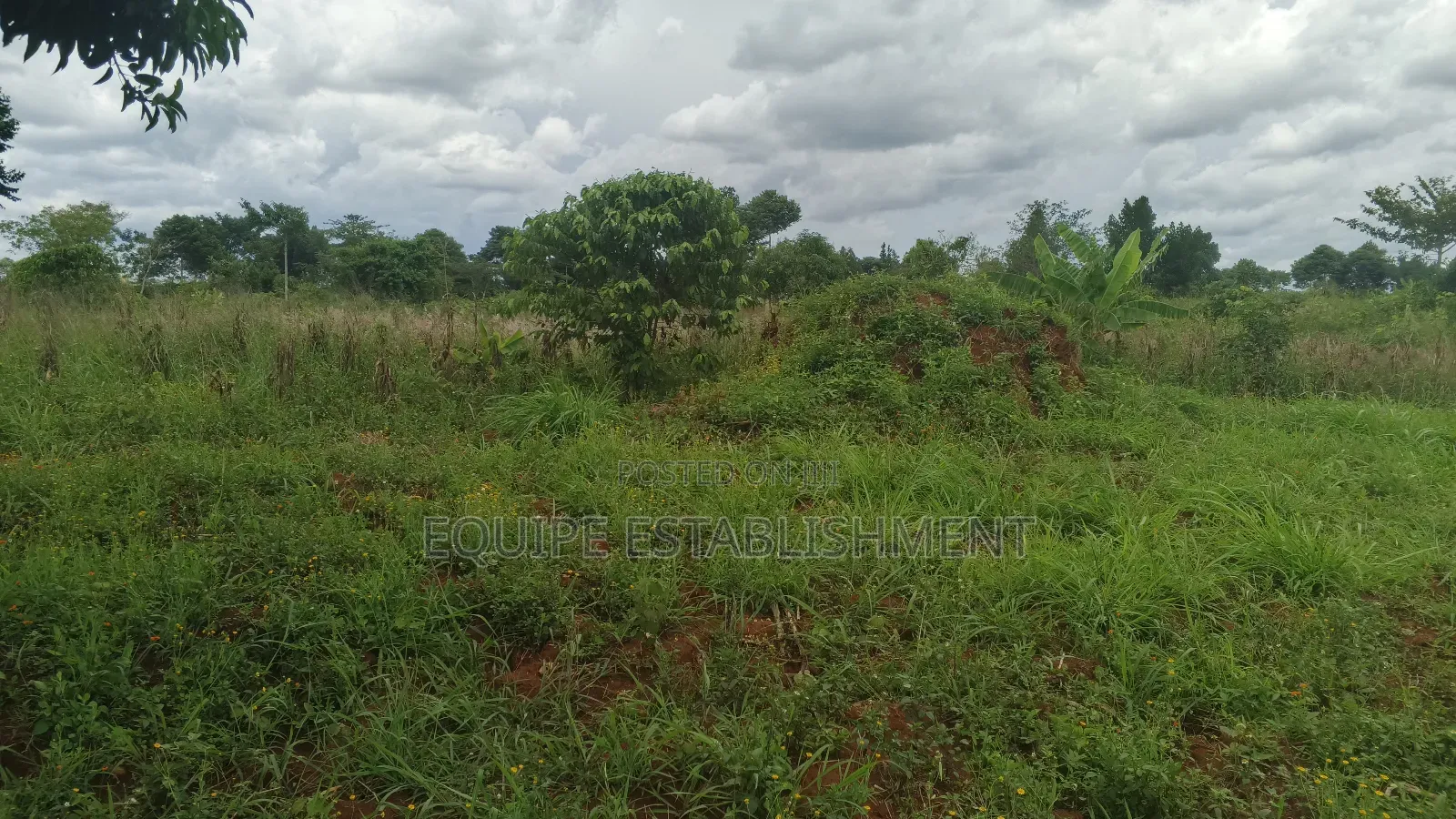 Kibanja Plot Available Kikandwa Mukono Kayunga Road