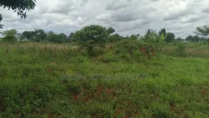 Kibanja Plot Available Kikandwa Mukono Kayunga Road