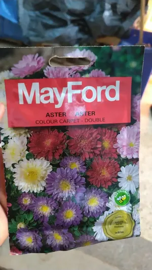 Colour Carpet Double Mix Flower Seeds