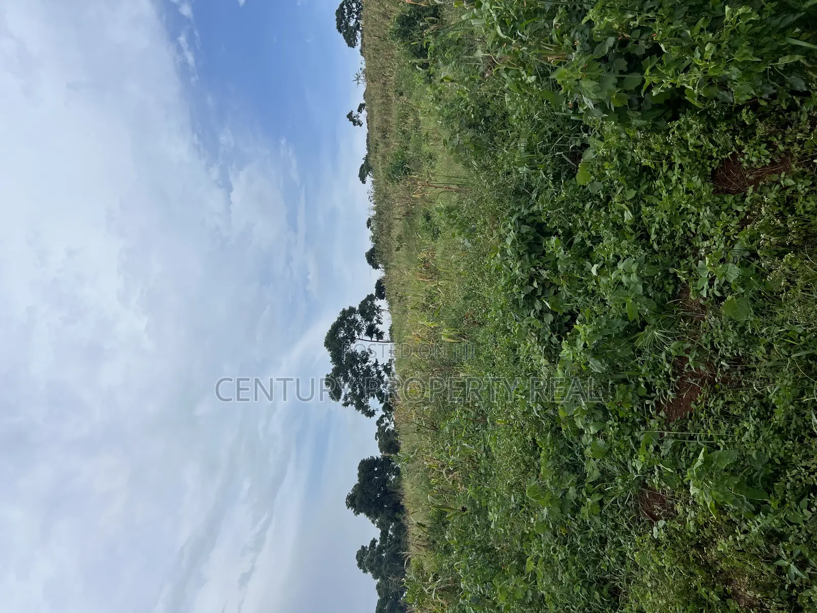 Land in Kasawo
