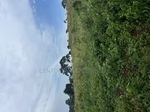Land in Kasawo