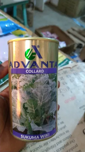 Collards Sukuma Wiki Seeds ( Per 50 G)