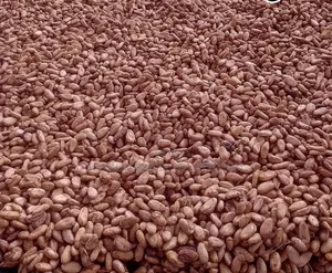 Cocoa Beans