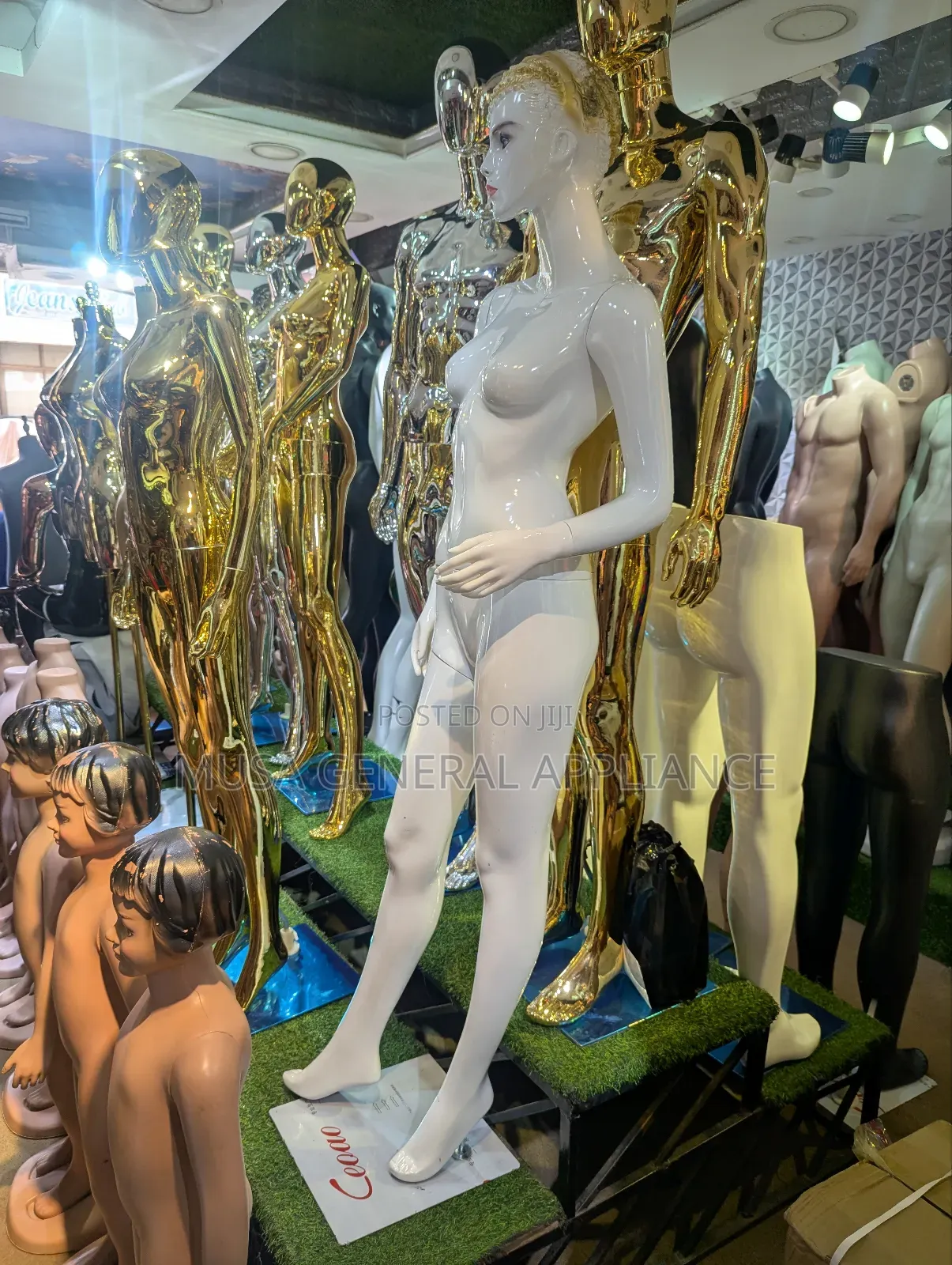 Glossy White and Gold Women