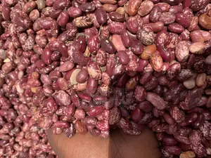 Nabaale Masavu