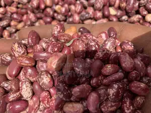 Nabaale Masavu