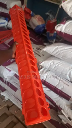 Long and Big Chicken Plastic Feeder .