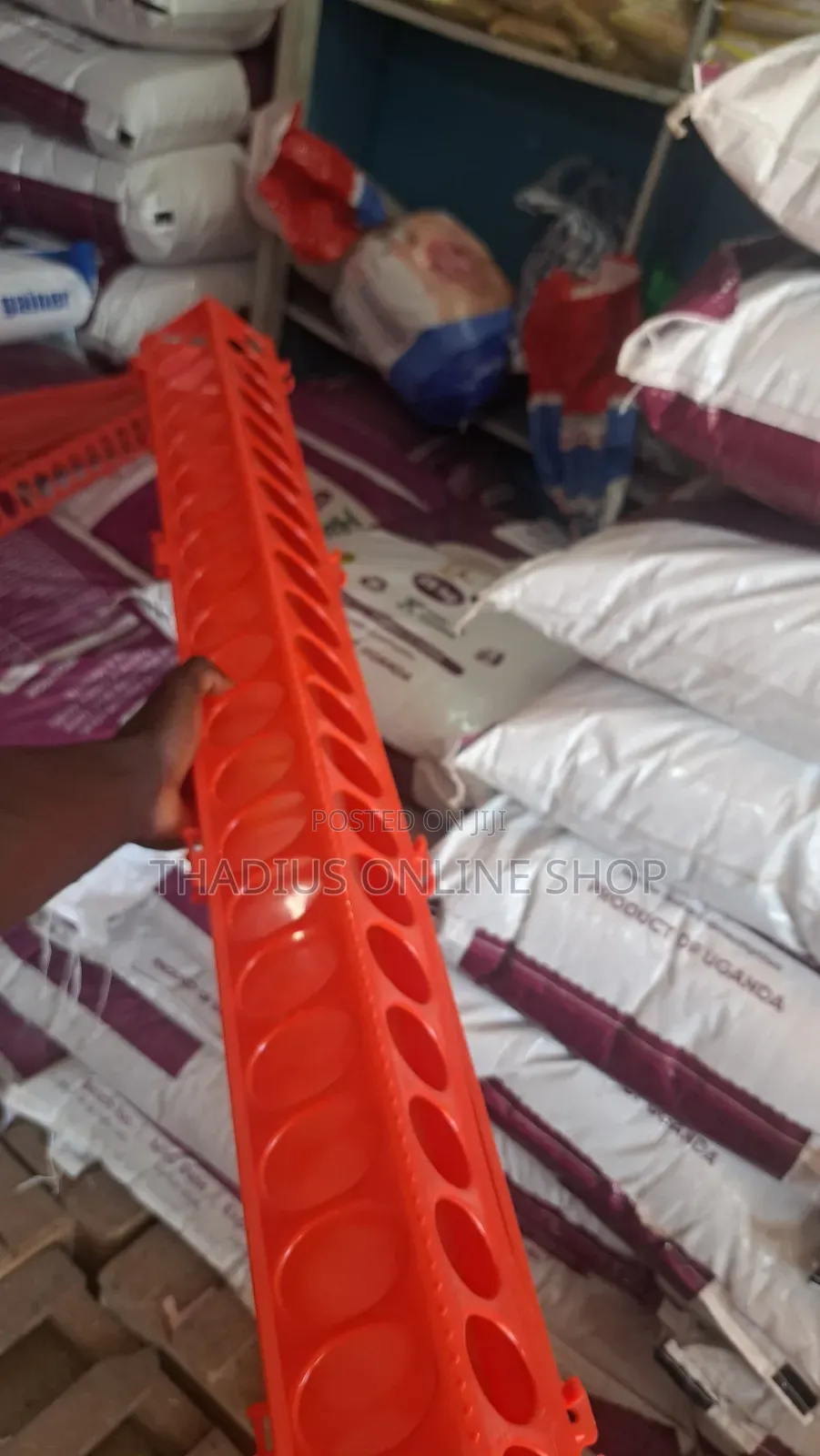 Long and Big Chicken Plastic Feeder .