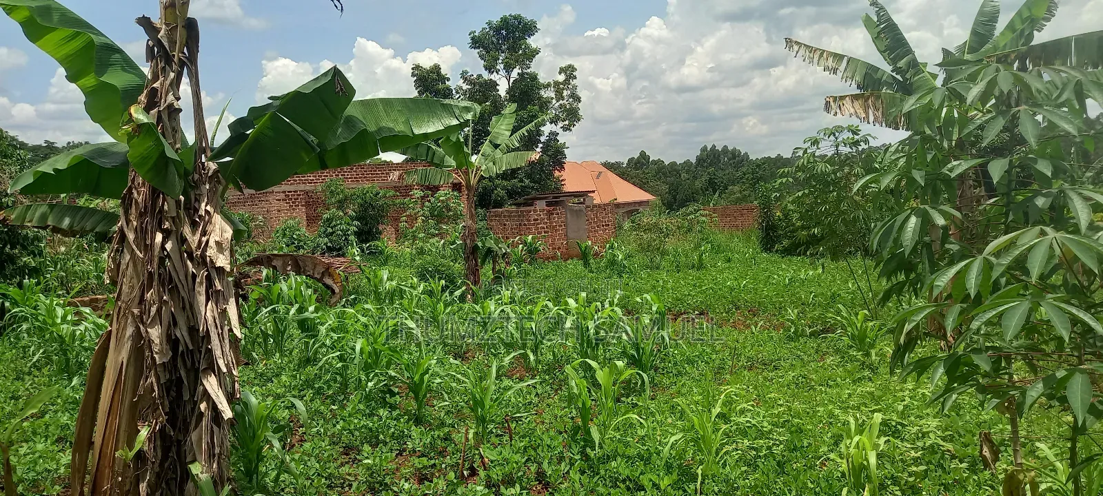 Titled Plot for Sale 50x100ft