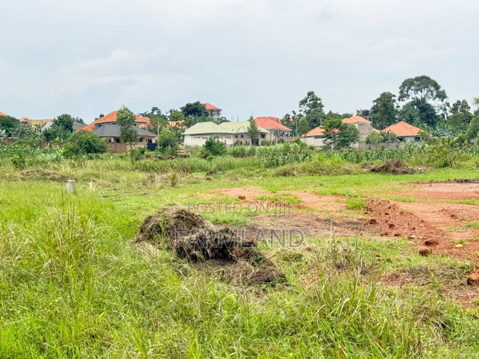 Kira Mulawa Shimon Estate 50by100ft 48m Private Mailo Land Title