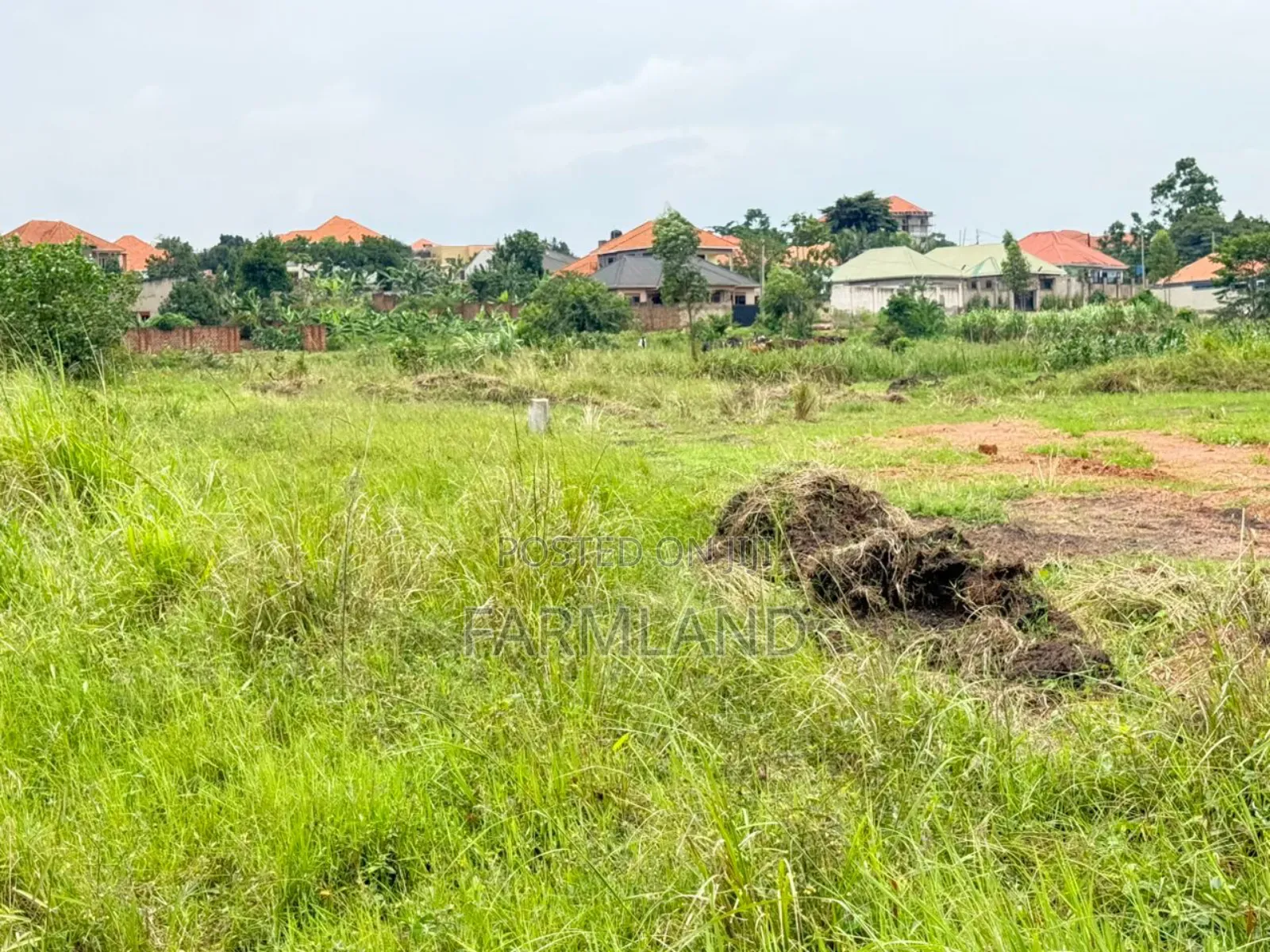 Kira Mulawa Shimon Estate 50by100ft 48m Private Mailo Land Title