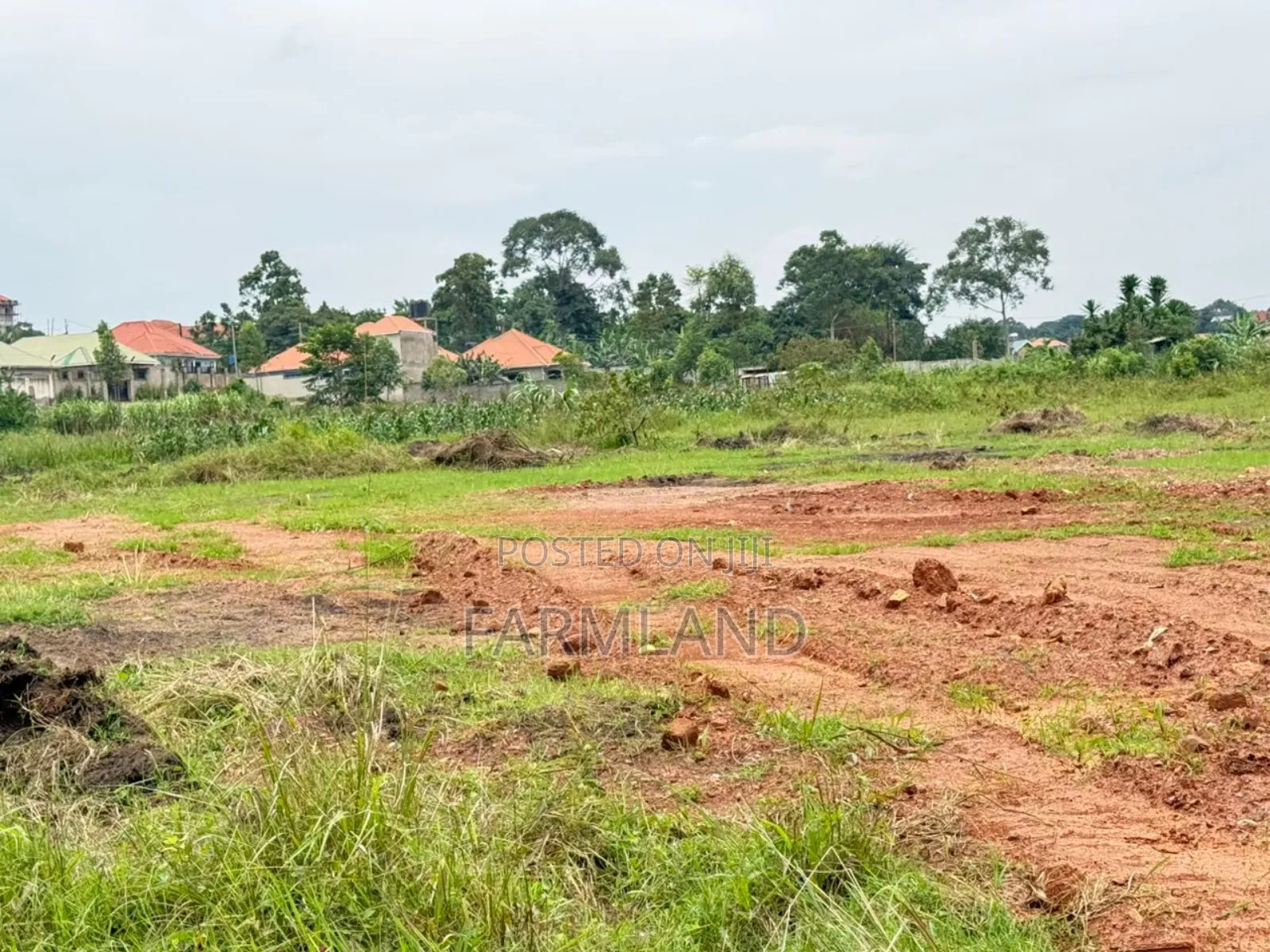 Kira Mulawa Shimon Estate 50by100ft 48m Private Mailo Land Title