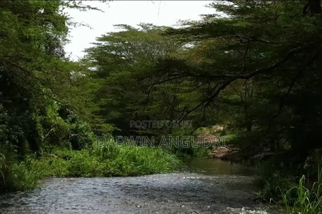 Farmland for Sale