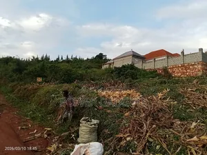 Titled Plot for Sale 50ft X100ft in Mabombwe Wakiso Hoima Rd. 33m Cash
