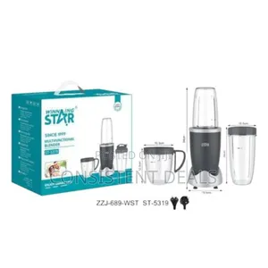 Winning Star St-5319 Multifunctional Blender - Grey