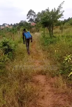 (25x52 by 25x54)Feet Plot Namugongo Bukerere Road.