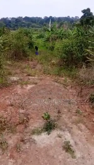 (25x52 by 25x54)Feet Plot Namugongo Bukerere Road.