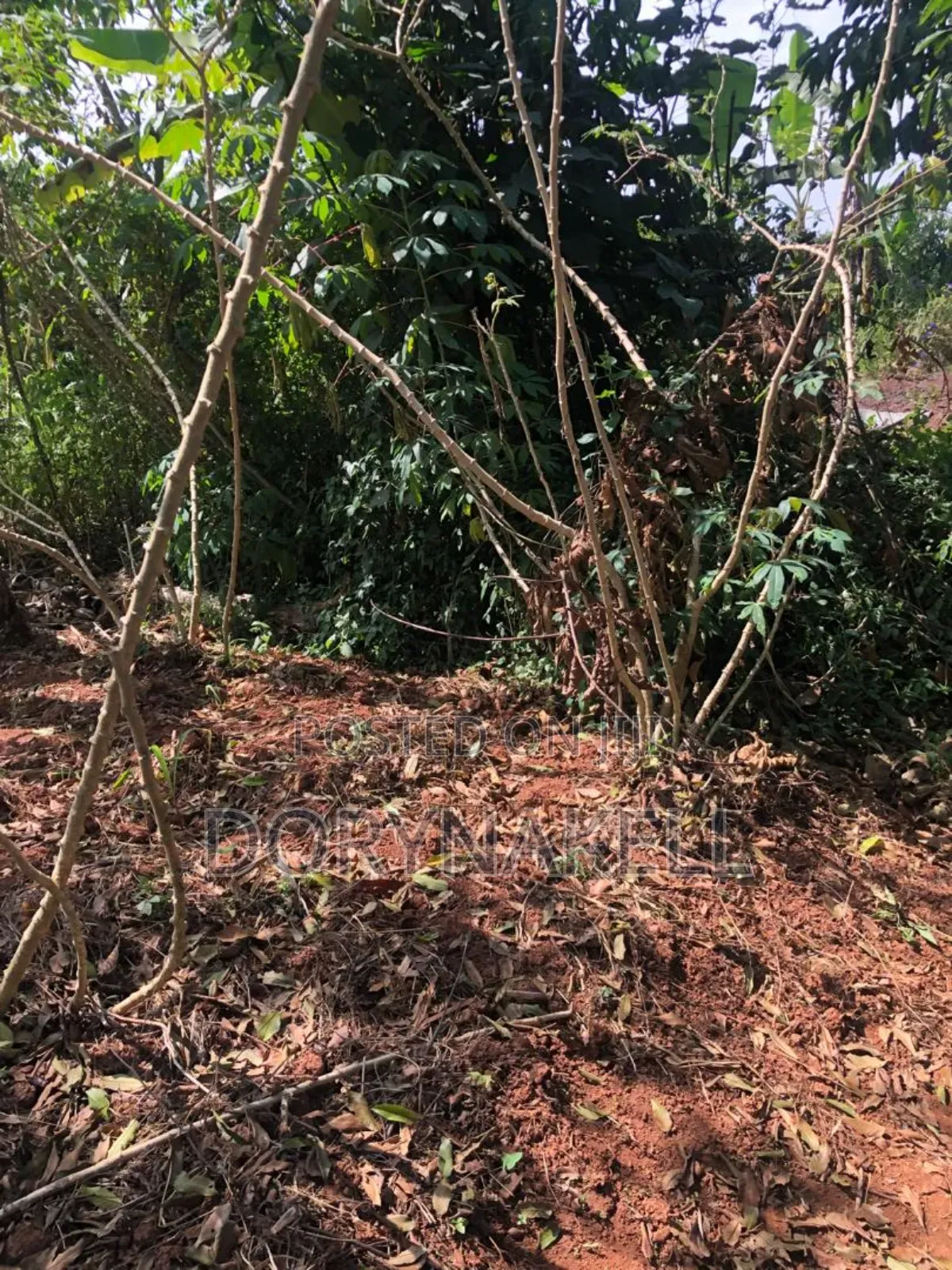 44 Acres in Luwero at 15m Each