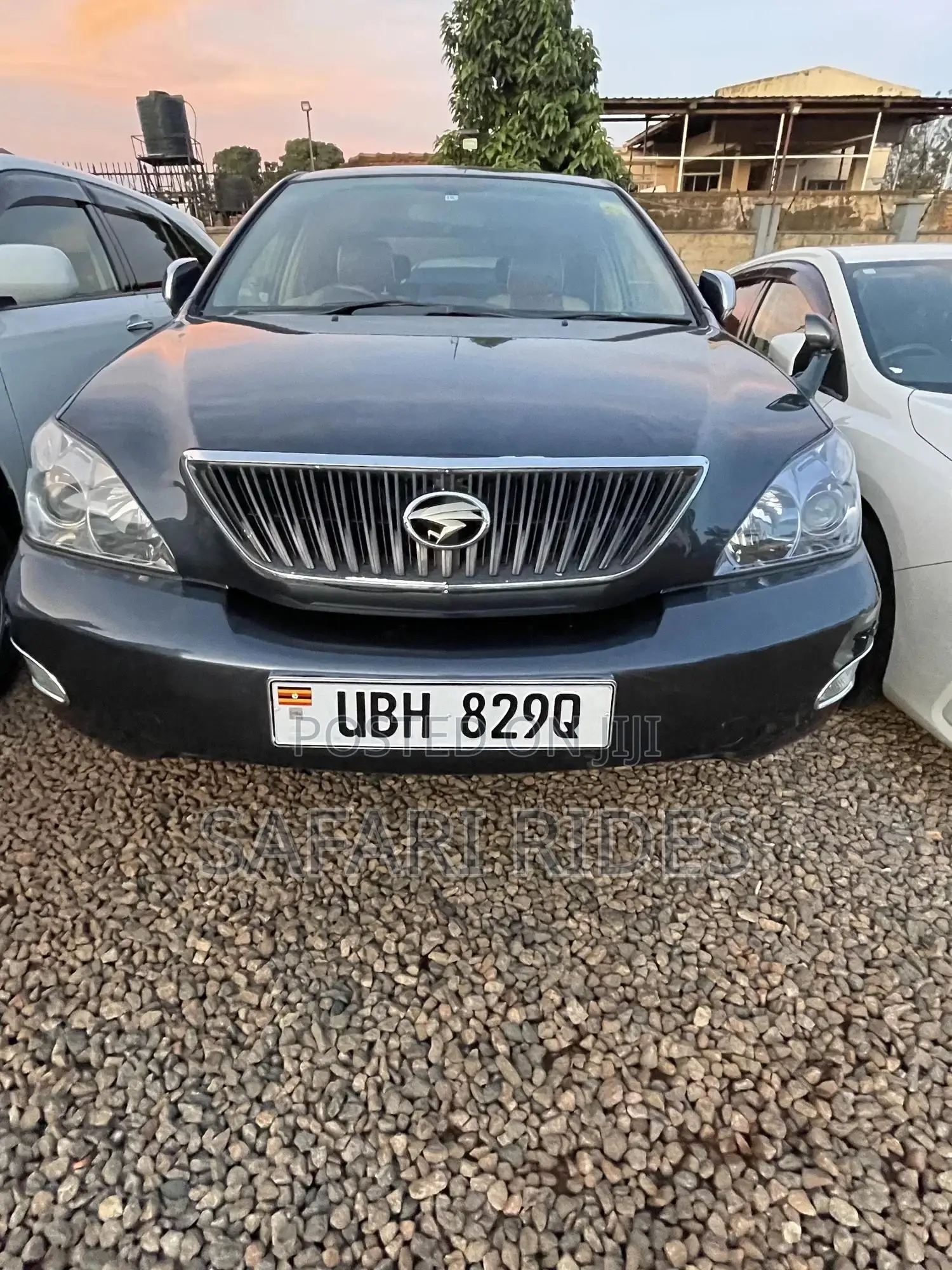 Toyota Harrier 2008 Gray